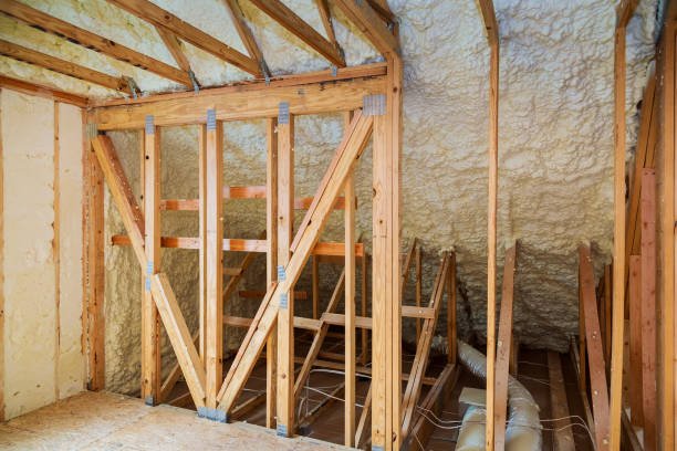 Spray Foam Insulation loft